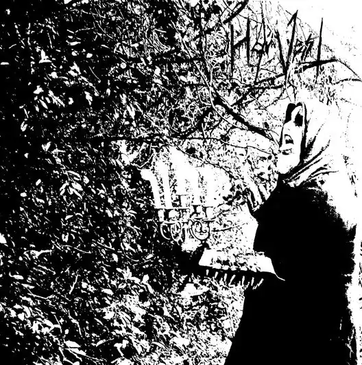 Harvest– Forgotten Vampyres Of The Melancholic Night (CD) Genuine