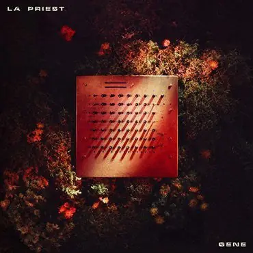 Buy Today SALE: LA Priest - Gene (LP, Neon Orange vinyl) was £20.99