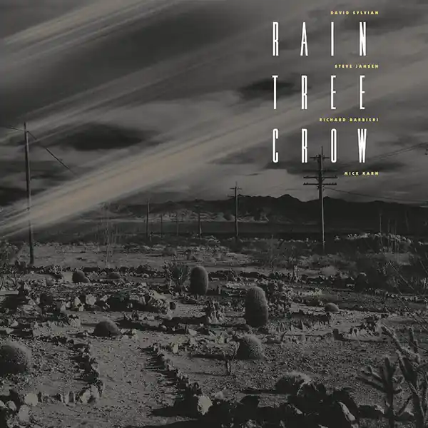Rain Tree Crow - s/t (CD) Final Sale