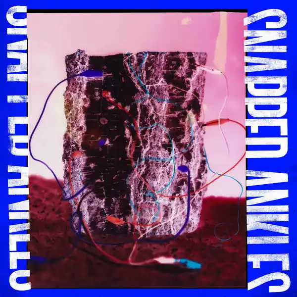 Snapped Ankles - Forest Of Your Problems (LP, Protester Edition, forest floor coloured vinyl) Direct From Factory