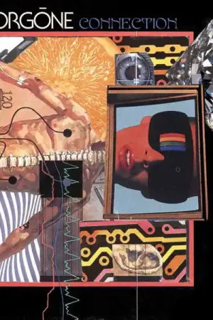 Orgone - Connection (LP, white vinyl) Worldwide Shipping