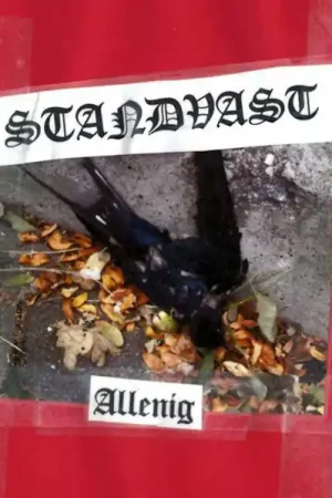 Money Back Guarantee SALE: Standvast - Allenig (CD) was £9.99