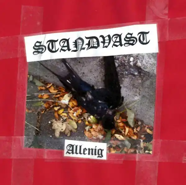 Money Back Guarantee SALE: Standvast - Allenig (CD) was £9.99