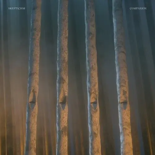 In Demand Skepticism - Companion (LP, sky blue vinyl)