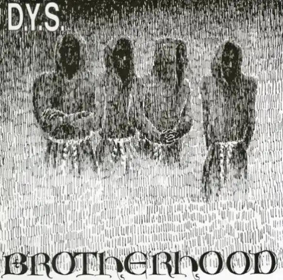 D.Y.S. - Brotherhood (LP) Modern