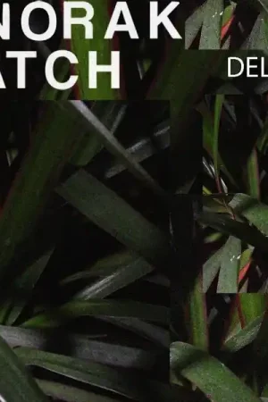 Limited Edition Anorak Patch - Delilah/Blue Jeans (7")