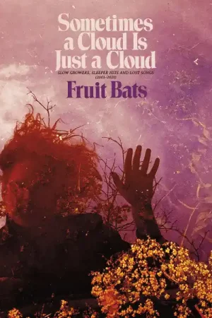 Buy Today Fruit Bats - Sometimes a Cloud Is Just a Cloud: Slow Growers, Sleeper Hits, and Lost Songs (2001-2021) (2xLP, pink and violet swirl vinyl)