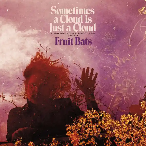Buy Today Fruit Bats - Sometimes a Cloud Is Just a Cloud: Slow Growers, Sleeper Hits, and Lost Songs (2001-2021) (2xLP, pink and violet swirl vinyl)