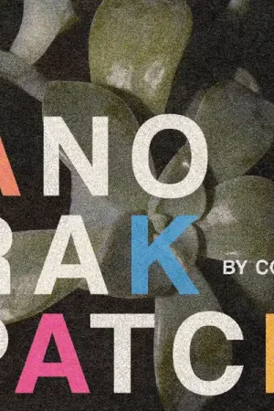SALE: Anorak Patch - By Cousin Sam (12") was £14.99 Low Price