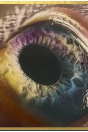 Arcade Fire - WE (LP) Direct From Manufacturer