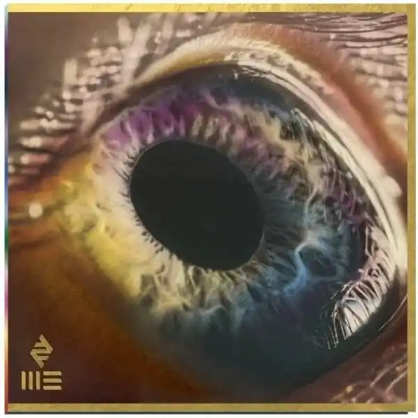Arcade Fire - WE (LP) Direct From Manufacturer
