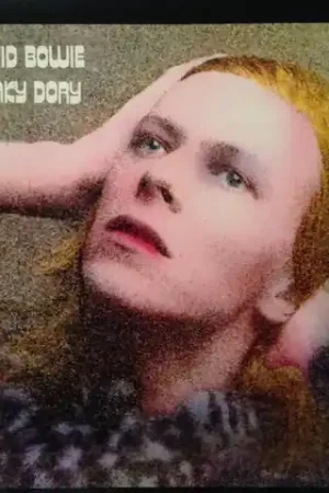 David Bowie - Hunky Dory (LP) Big Sale