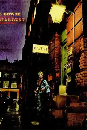 Bulk Order David Bowie - The Rise And Fall Of Ziggy Stardust (LP, picture disc)