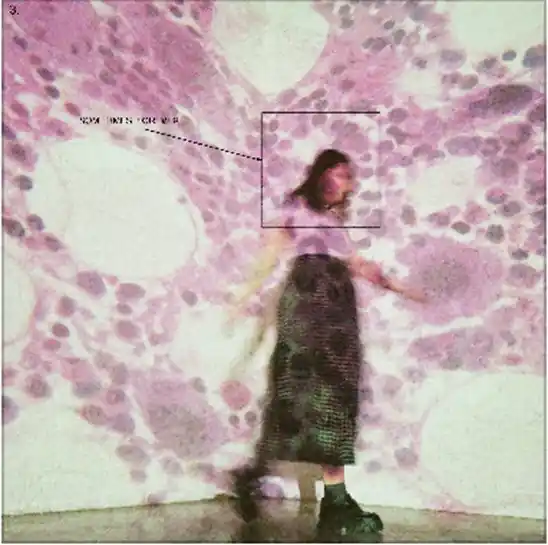 Reduced Price Soccer Mommy - Sometimes, Forever (LP, semi-transparent pink)