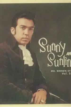 Sunny & The Sunliners - Mr Brown Eyed Soul Vol 2 (LP, red vinyl) Wholesale
