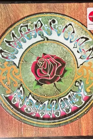 New Arrival Grateful Dead - American Beauty (LP, White/Green Marble)