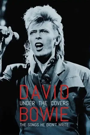 David Bowie - Under The Covers: The Songs He Didn't Write (2xLP) Discount