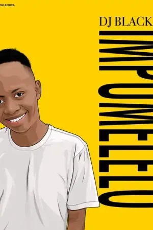Grab Now SALE: DJ Black Low - Impumelelo (2xLP) was £25.99