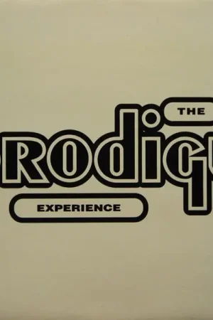 Bargain The Prodigy - Experience (2xLP)