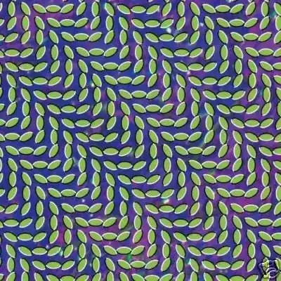 Animal Collective - Merriweather Post Pavilion (2xLP) Instant Buy