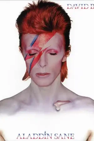 Trusted Brand David Bowie - Aladdin Sane (LP)