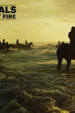 Get Yours Foals - Holy Fire (LP)