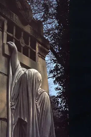 Dead Can Dance - Within The Realm Of A Dying Sun (LP) Affordable
