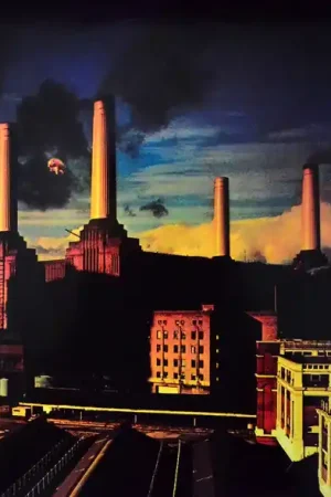 Pink Floyd - Animals (LP) Buy Today