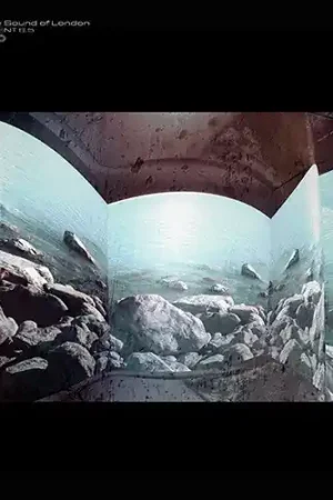Future Sound Of London - Environment 6.5 (LP) Final Sale