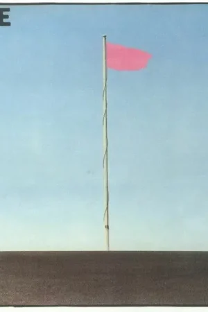 Wire - Pink Flag (LP) Express Delivery