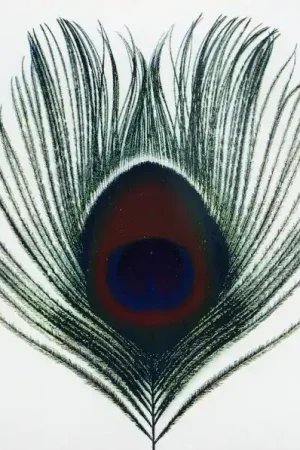 Hot Deal XTC - Apple Venus (LP, 200g vinyl)
