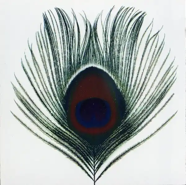 Hot Deal XTC - Apple Venus (LP, 200g vinyl)