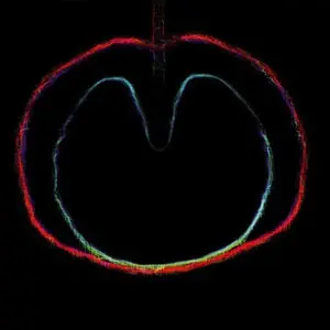 Today Only XTC - Wasp Star: Apple Venus II (LP, 200g vinyl)