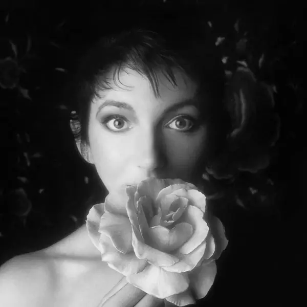 Kate Bush - Remastered In Vinyl 2 (3xLP boxset) Price Drop