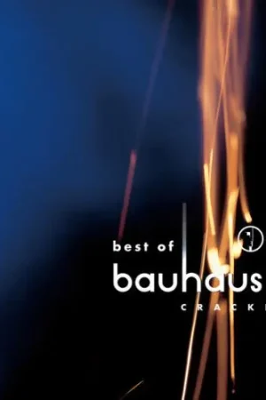 Bauhaus - Crackle: Best Of Bauhaus (2xLP, ruby vinyl) Secure Checkout