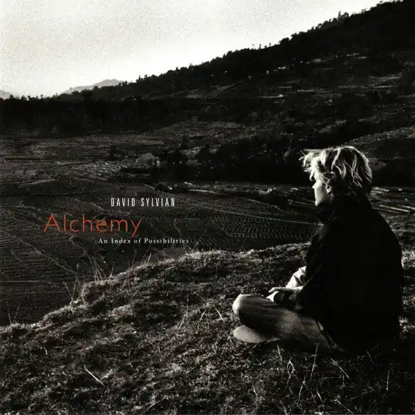 David Sylvian - Alchemy An Index Of Possibilities (LP) Top Pick