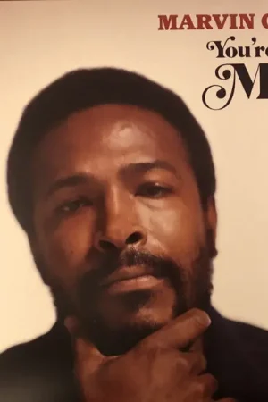 Marvin Gaye - You’re The Man (2xLP) Special Discount