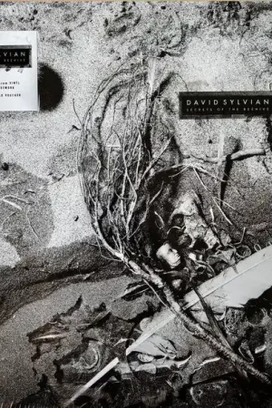 Hot Deal David Sylvian - Secrets Of The Beehive (LP, 180g vinyl)