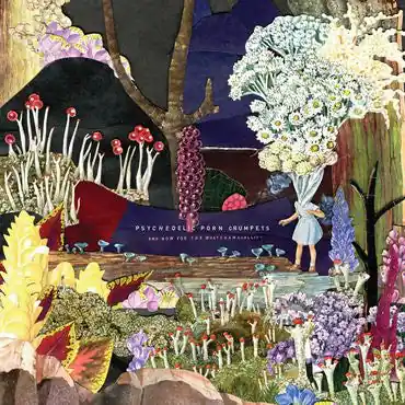 Big Sale Psychedelic Porn Crumpets - And Now For The Whatchamacallit (LP, yellow/purple/blue splatter vinyl)