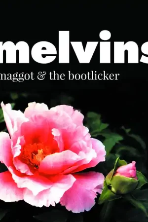 Direct From Manufacturer Melvins - The Maggot & The Bootlicker (2xLP, White Vinyl + Mint Green Vinyl)