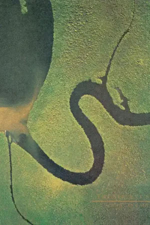 Dead Can Dance - The Serpents Egg (LP) Last Chance