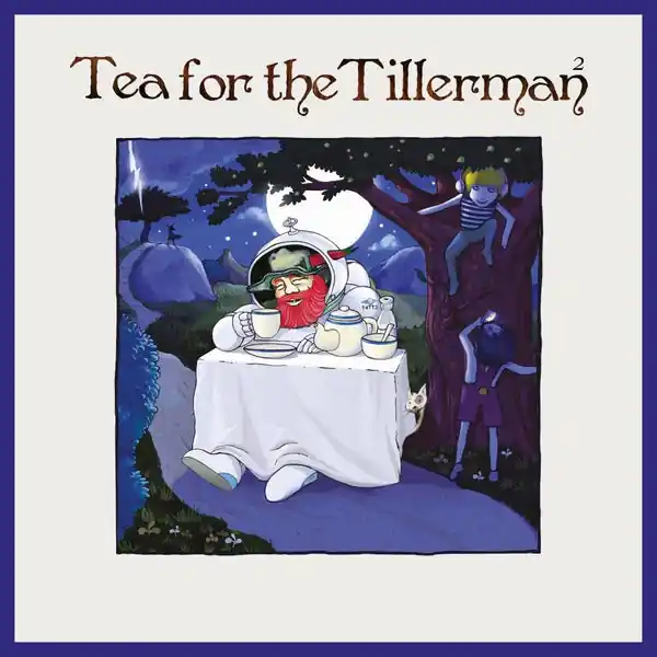 Yusuf / Cat Stevens - Tea For The Tillerman 2 (LP) Last Chance
