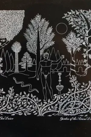Dead Can Dance - Garden Of The Arcane Delights/The John Peel Sessions (2xLP) Certified