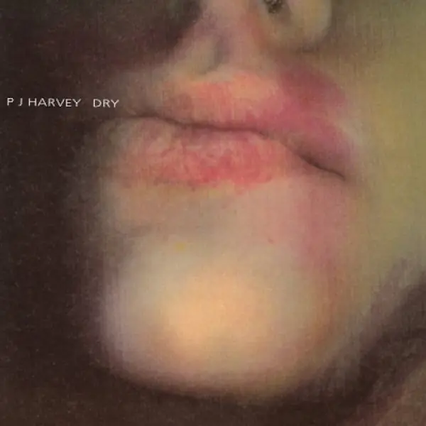 PJ Harvey - Dry (LP, 2020 Reissue) Budget