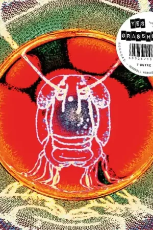 Mega Sale Yes Grasshopper - N.O.W.H.E.R.E. (7")