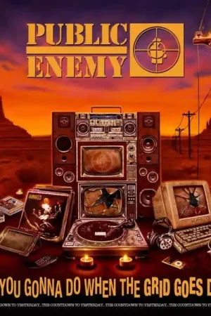 Viral Public Enemy - What You Gonna Do When the Grid Goes Down (CD)