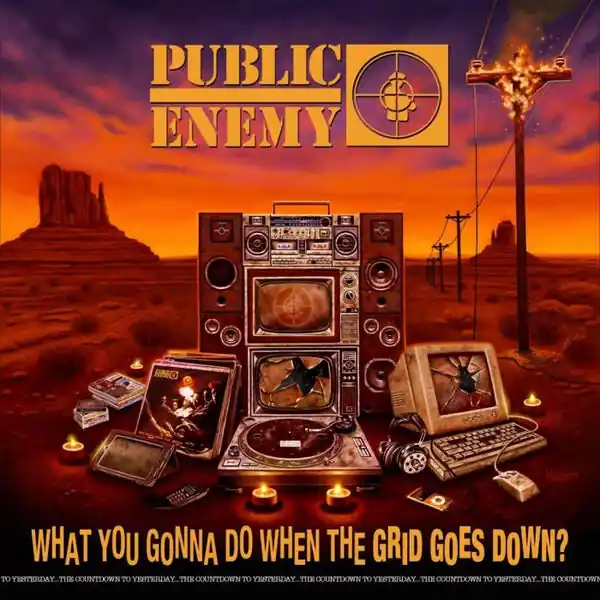 Viral Public Enemy - What You Gonna Do When the Grid Goes Down (CD)