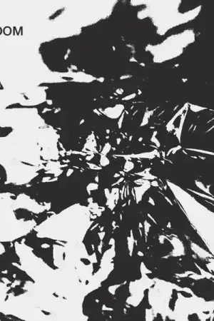 Bulk Order bdrmm - Bedroom (LP, Black vinyl)