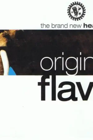 Bargain Brand New Heavies - Original Flava (LP, red vinyl)