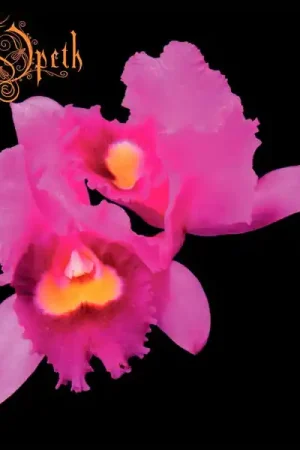 Same Day Shipping Opeth - Orchid (2xLP, half-speed remaster, gold vinyl)